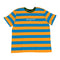 Zebra French Blue vs Deep Saffron – Color: XX - Small – Size: | Buy Now at Amakipkip Store